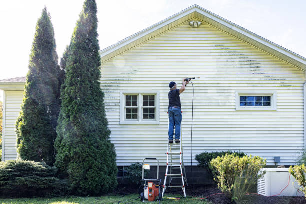 Best Window and Screen Pressure Cleaning in Kohler, WI